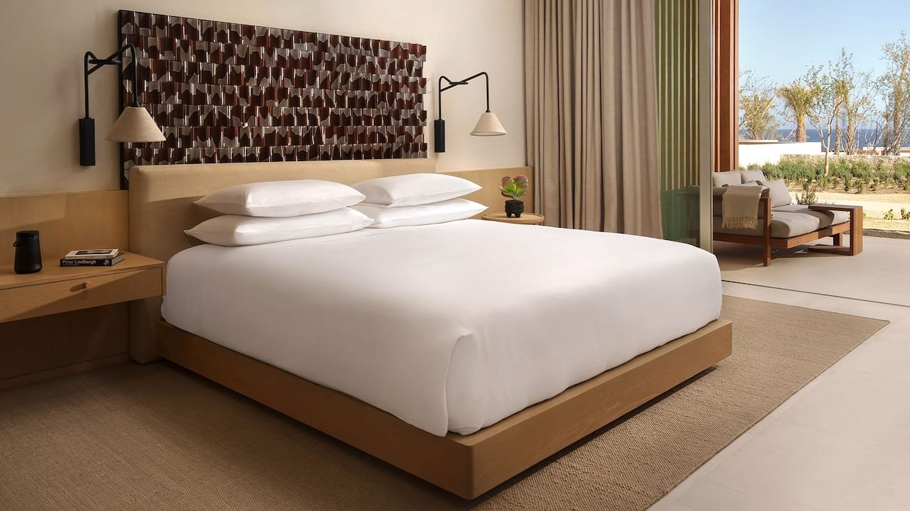 1 King Bed Partial Ocean View With Terrace